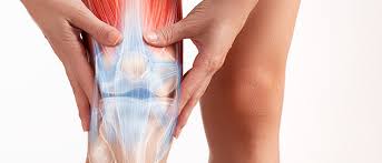 Tendon Yaralanmaları